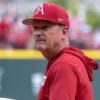 Razorbacks coach Dave Van Horn in game against Tennessee