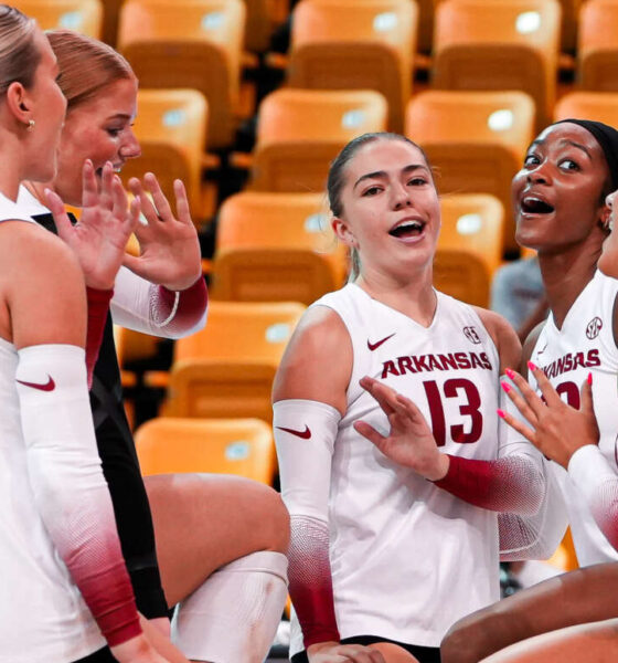 Razorbacks volleyball