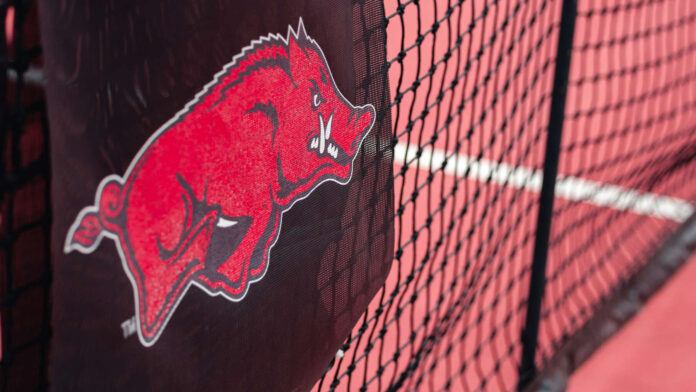 Hogs tennis