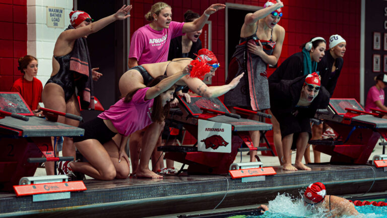 Arkansas Razorbacks swimming